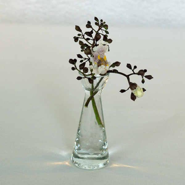 Mini vase med bobler Leje af mini vase